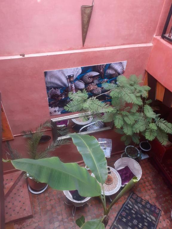 Riad Hanafi Marrakesh Buitenkant foto